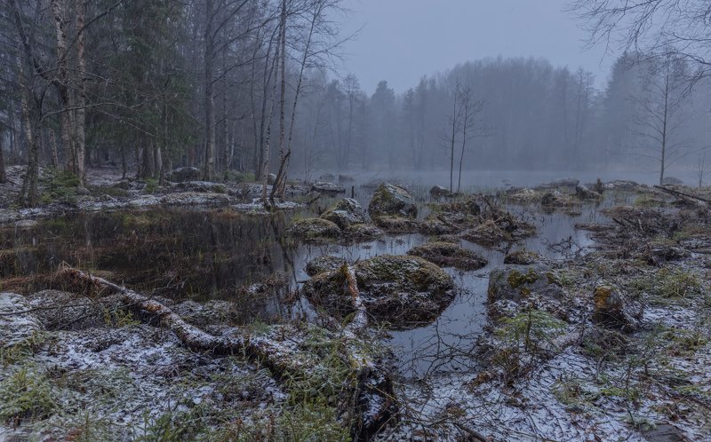 майский снегphoto preview