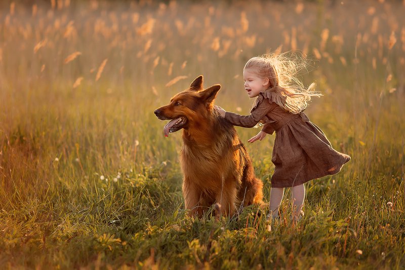 немецкая овчарка девочка ветер закат улыбка радость дружба ***photo preview