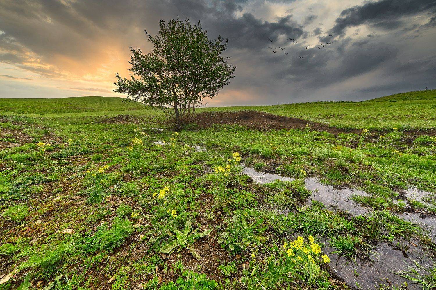 южный урал,оренбургская область, орск, новотроицк,, Качурин Алексей