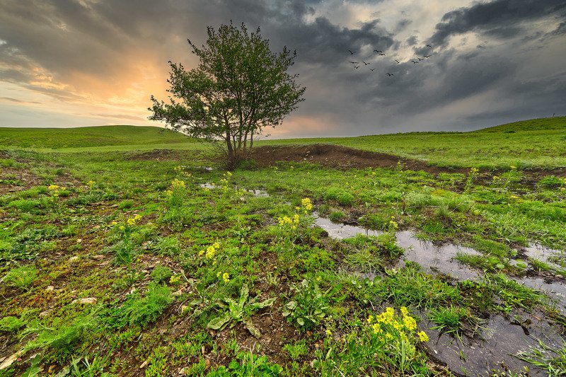южный урал,оренбургская область, орск, новотроицк, Весна на Южном Урале фото превью