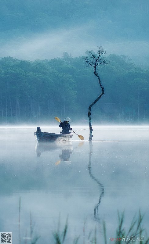 quanphoto, landscapes, morning, reflections, tree, boat, fisherman, misty, lake, plateau, vietnam Misty Morningphoto preview