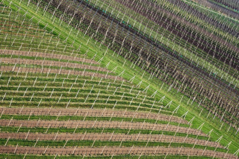 южная моравия, чехия, весна,  south moravia, czech, patterns Паттерныphoto preview