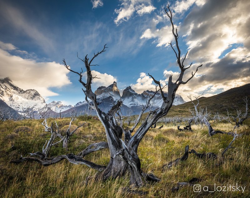 Patagoniaphoto preview