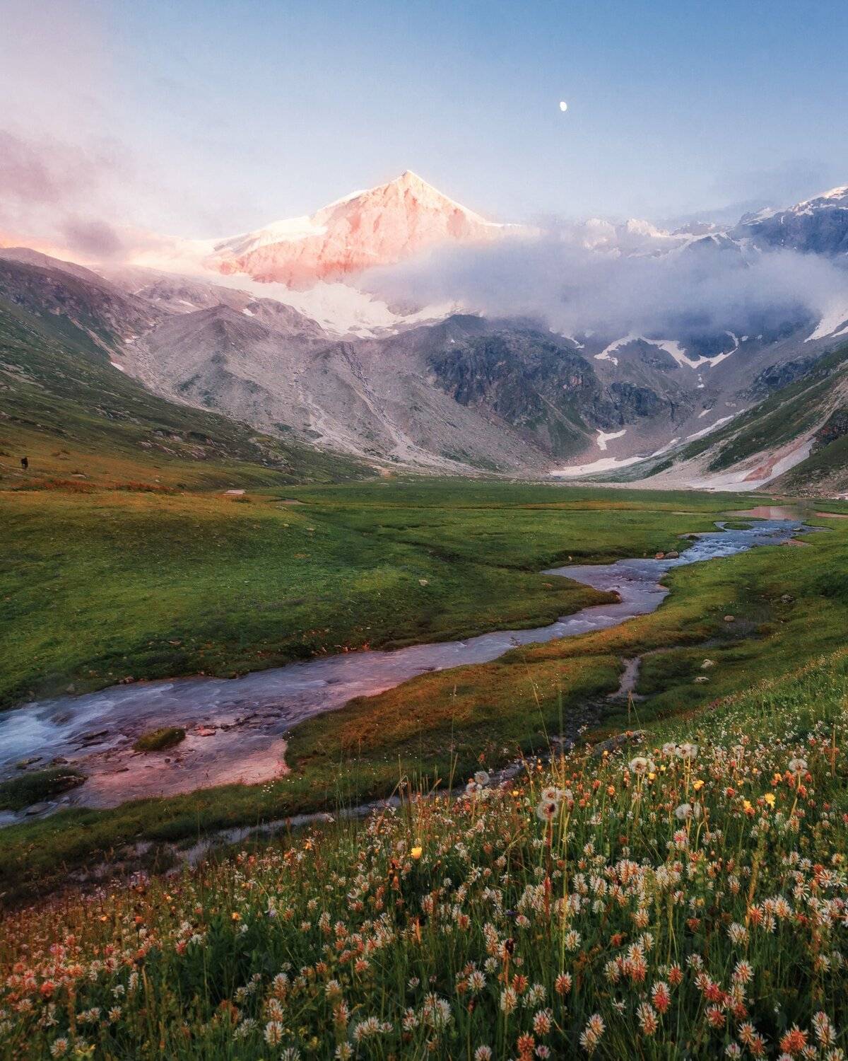 Актур. Автор: Сергей Лукашенко , Сергей Лукашенко