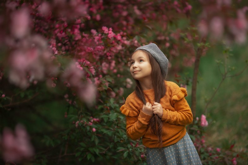 Яблоняphoto preview