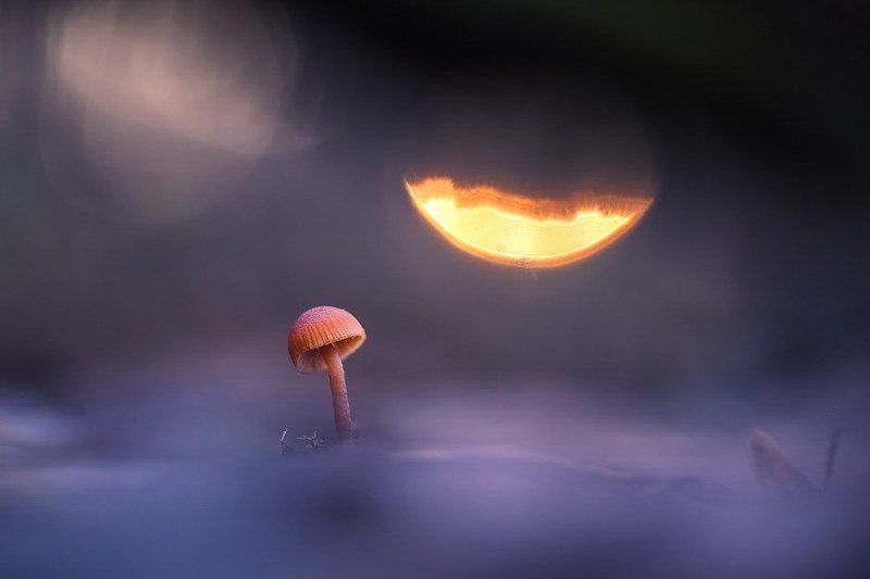 Луна — отражение глазphoto preview