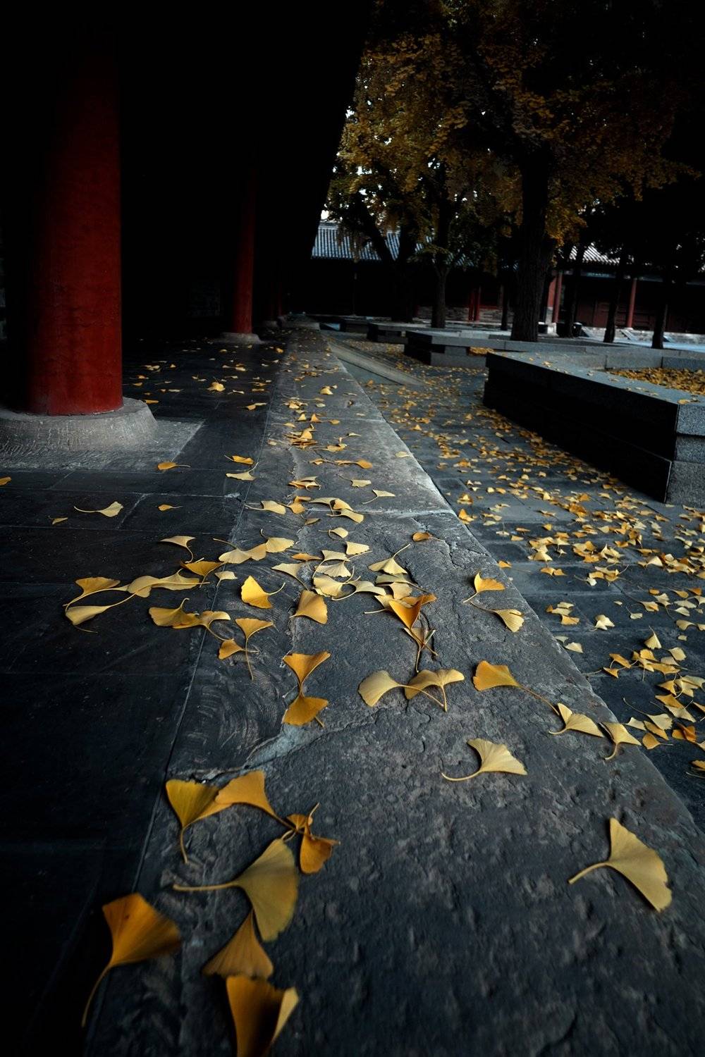 пекинский храм неба. Автор: zhang ike landscapes, zhang ike