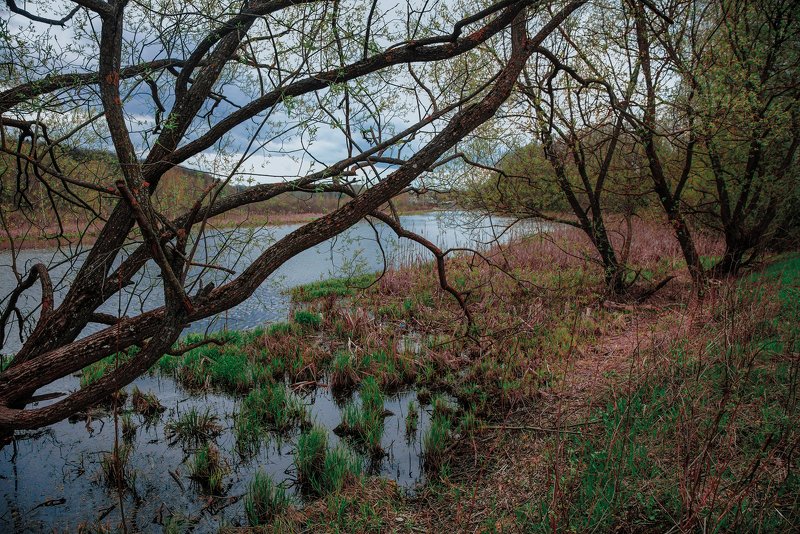 Клязьмаphoto preview