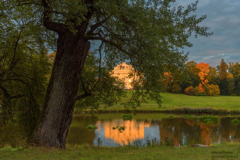 город, павловск, пригороды петербурга, река славянка, осень, павловский парк, павловский дворец, пейзаж Вечерняя прогулка в осеннем Павловском парке... фото превью