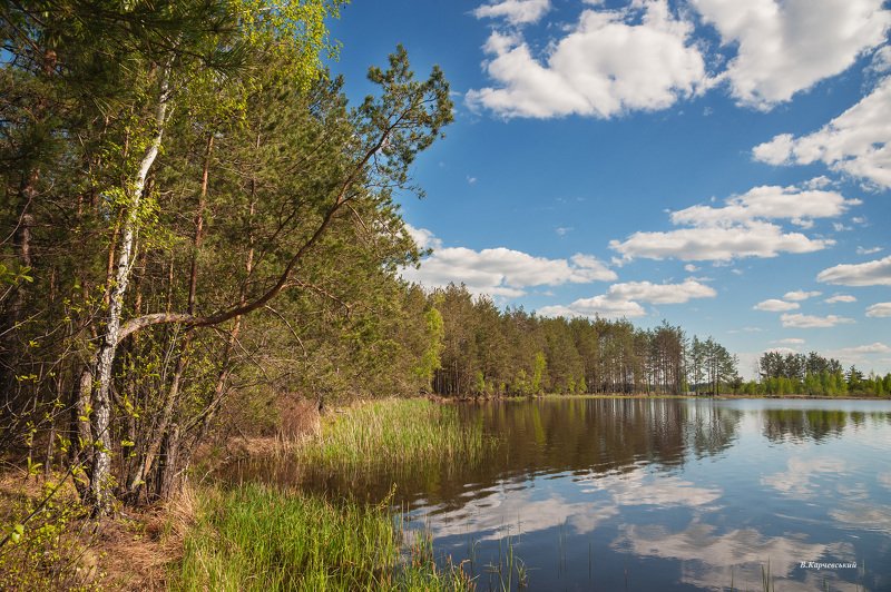 Май на р.Бобер....photo preview