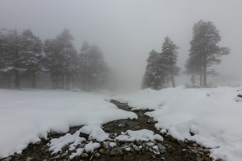 горы, эльбрус,кавказ,туман в белом тумане...photo preview