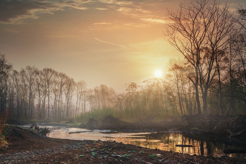 Природа, рассвет, река, пейзаж Туманный рассветphoto preview