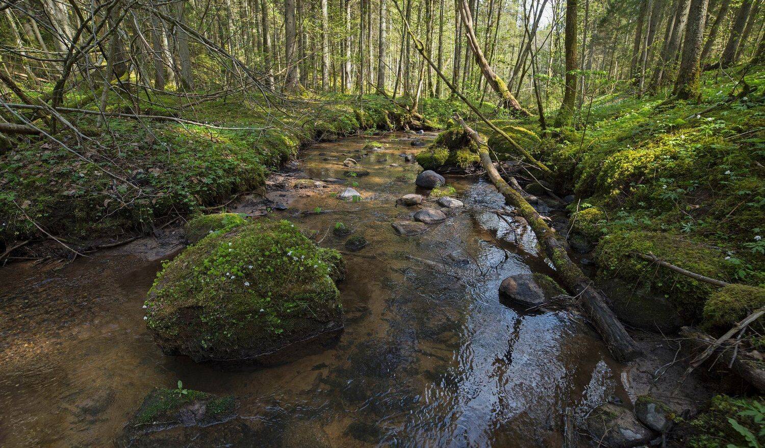 ***. Автор: Edgars Gerskovics , Edgars Gerskovics