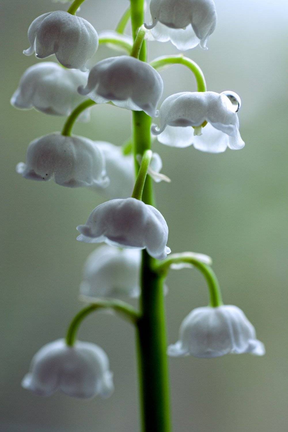 южный урал,оренбургская область, орск, новотроицк,, Качурин Алексей