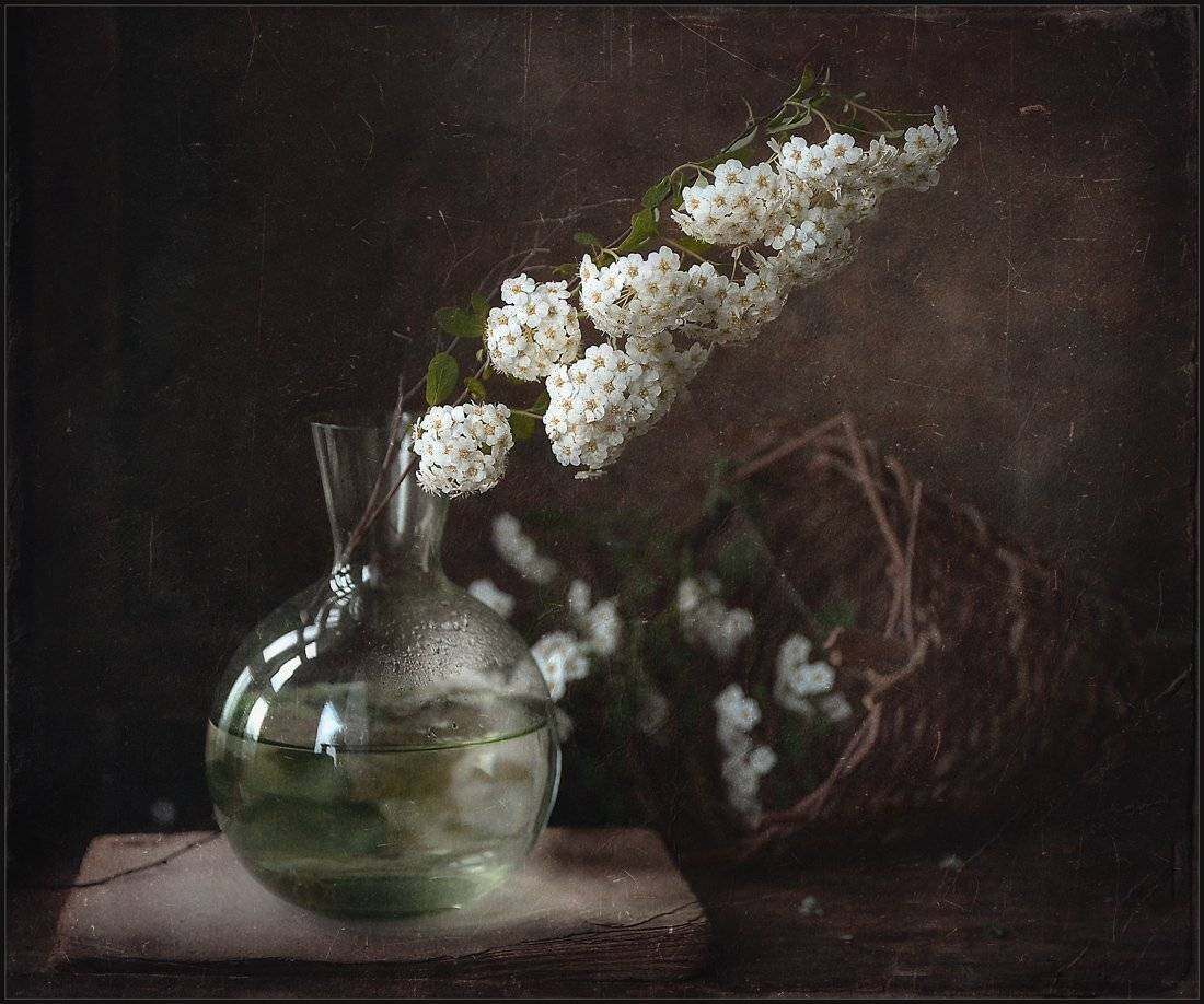 Сорвал веточку... Автор: Александр Хромеев , Александр Хромеев