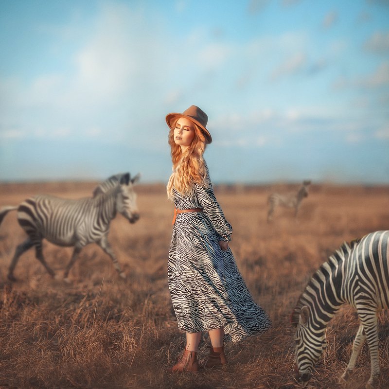 зебры, мечты, сказки Фантазииphoto preview