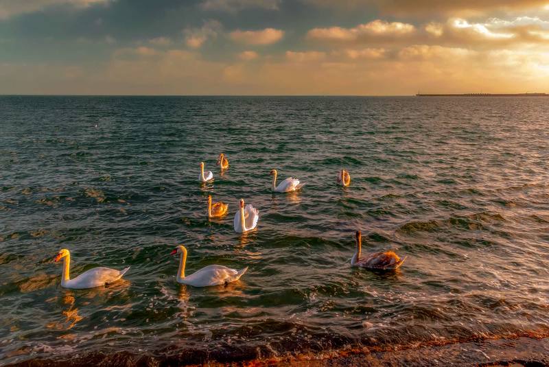 закат у моряphoto preview