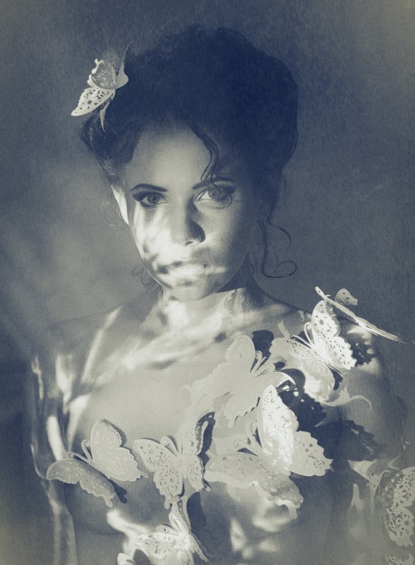 butterflyphoto preview