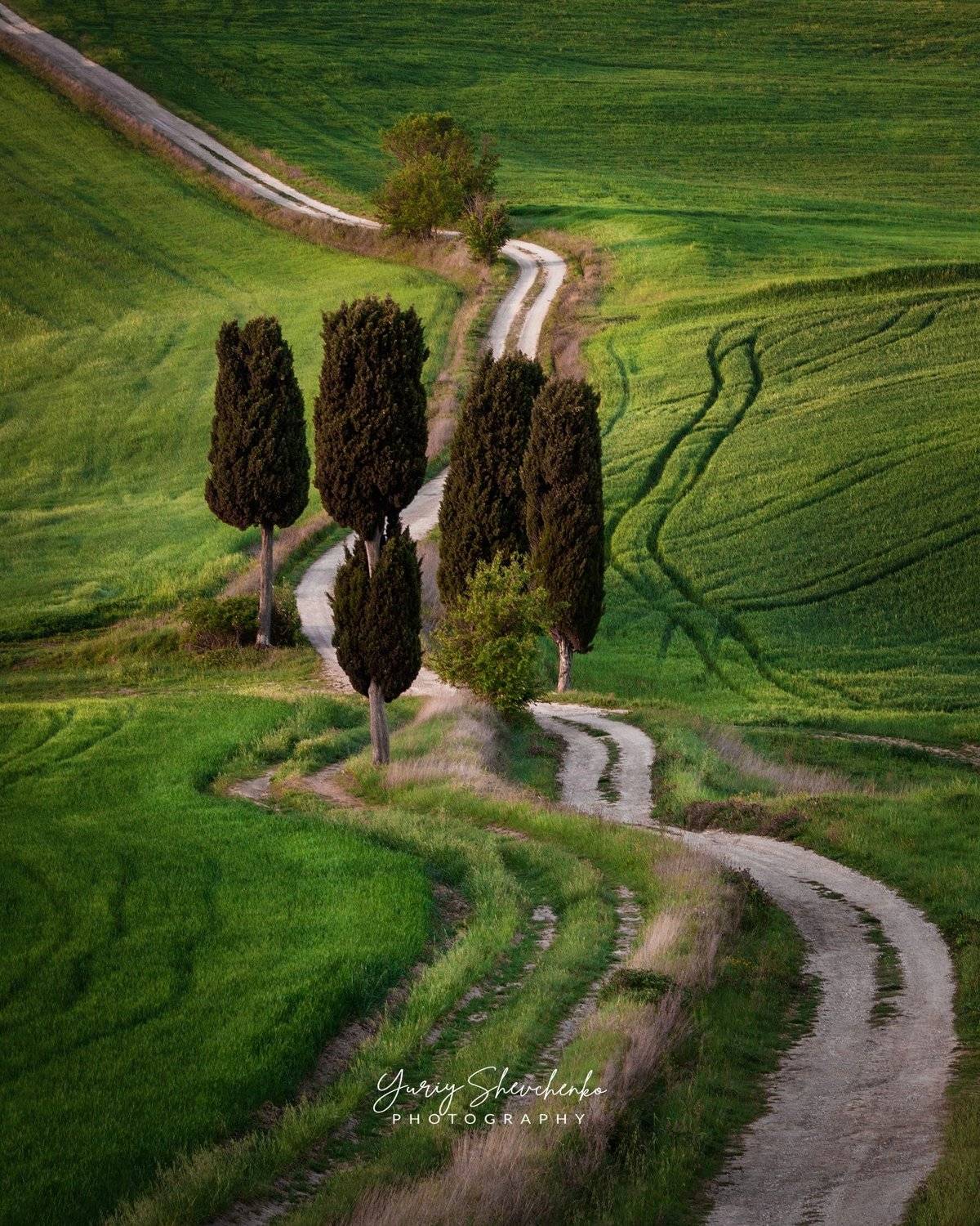 toscana, italia, италия, тоскана, toscana, Юрий (Phototours.pro) Шевченко