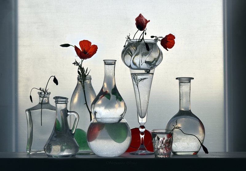 Маки в стеклеphoto preview