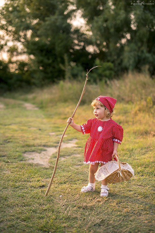красная шапочка, девочка, волк, пес, собака, серый пес, серый волк, сказка, маргарита, дочка, поляна, лес, корзина, корзинка, история, маленькая девочка История про Красную Шапочкуphoto preview