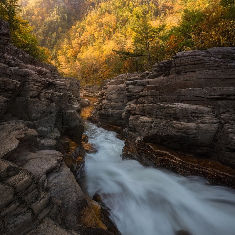 Divny Vanchinphoto preview