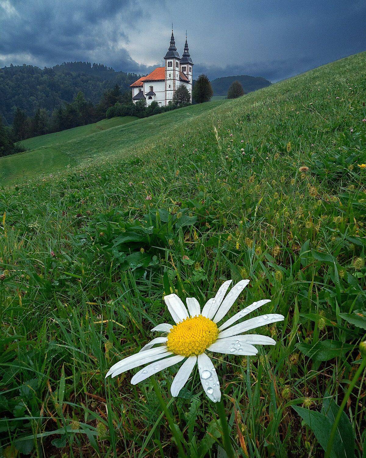 Словения. Автор: Андрей Родионов , Андрей Родионов