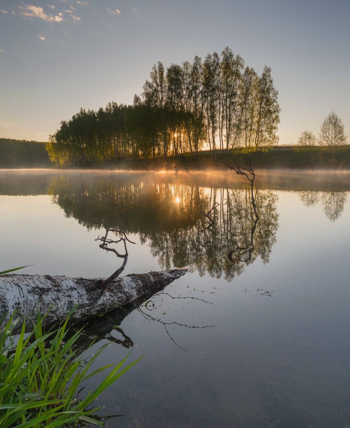 ***. Автор: Баранов Олег , Баранов Олег