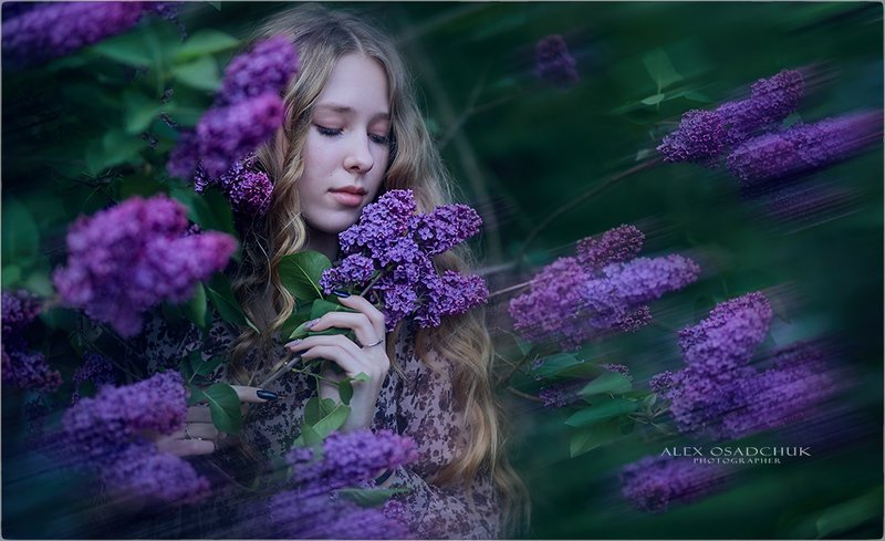 ветка сирени...photo preview