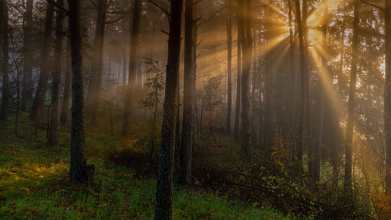 Nadjeziornaphoto preview