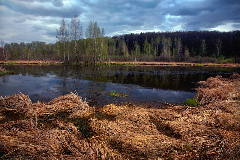 р.Клязьмаphoto preview