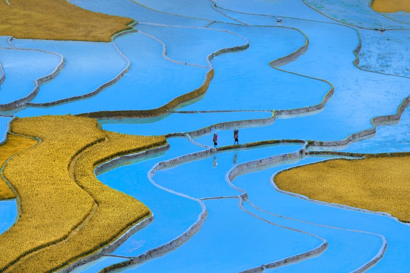 #terrace#Waterfall_Season#Mu_Cang_Chai#North_VietNam#CongPham Return in terrace water fall season photo preview