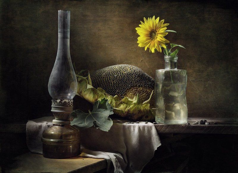 still lifephoto preview