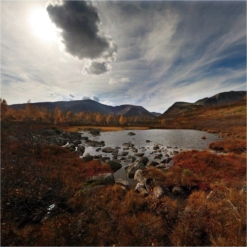 за первым снегомphoto preview