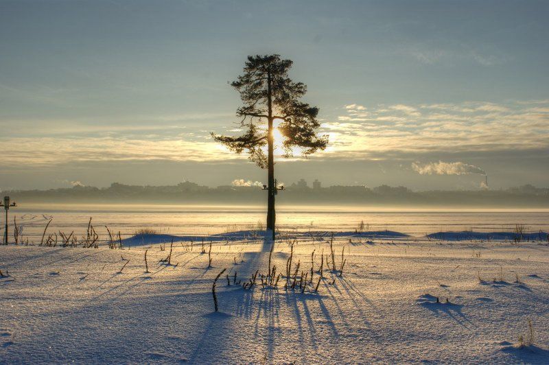 Таким мне запомнился 1 января 2013 г.photo preview