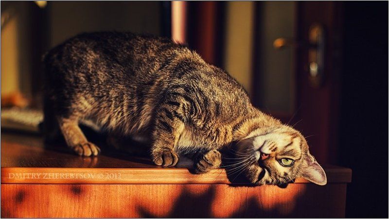 Тяжелое утро 1-го..photo preview