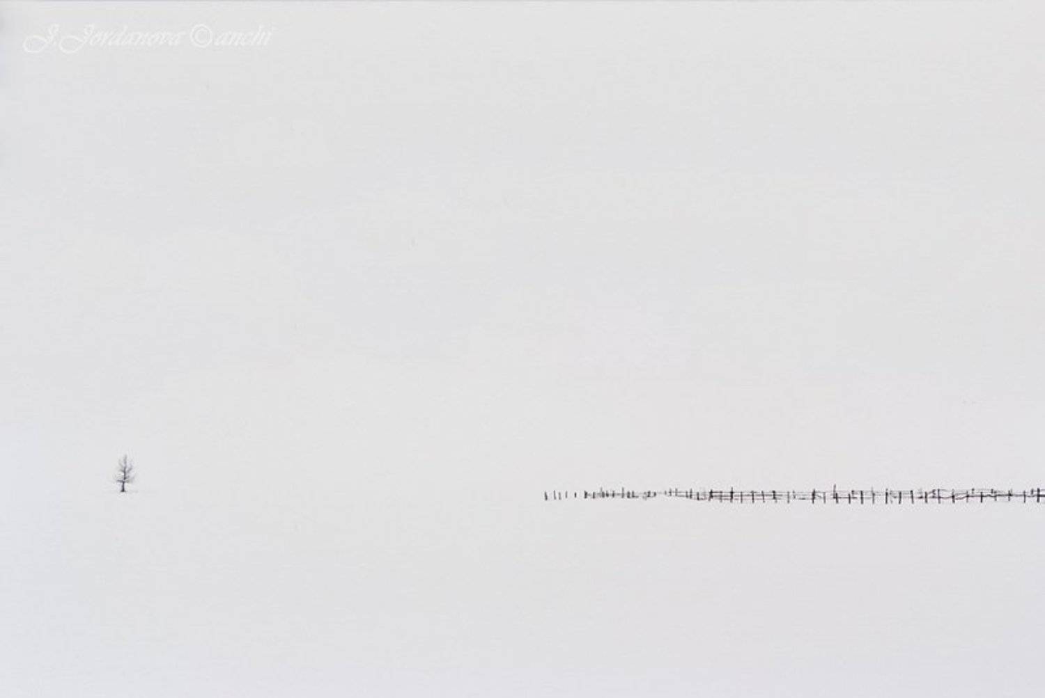 black and white. Автор: Jordanka Jordanova , Jordanka Jordanova