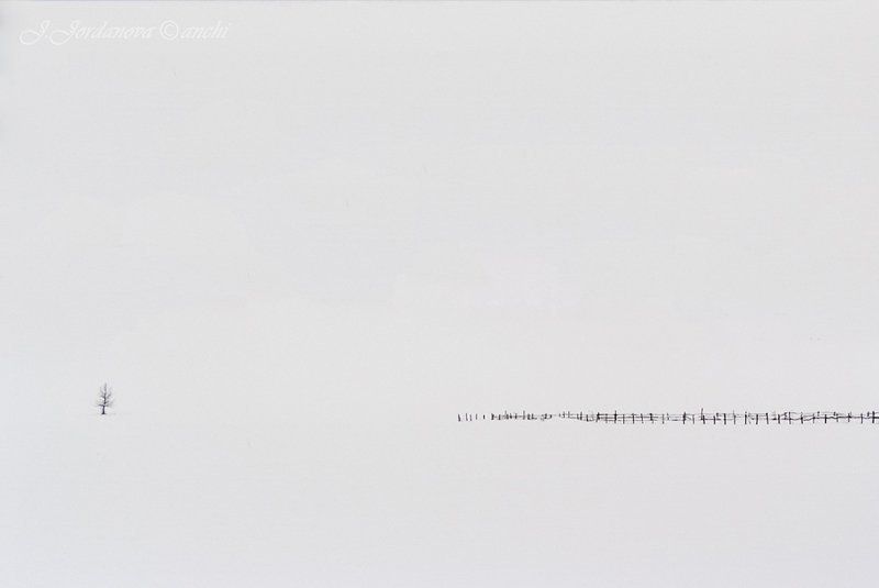 black and whitephoto preview