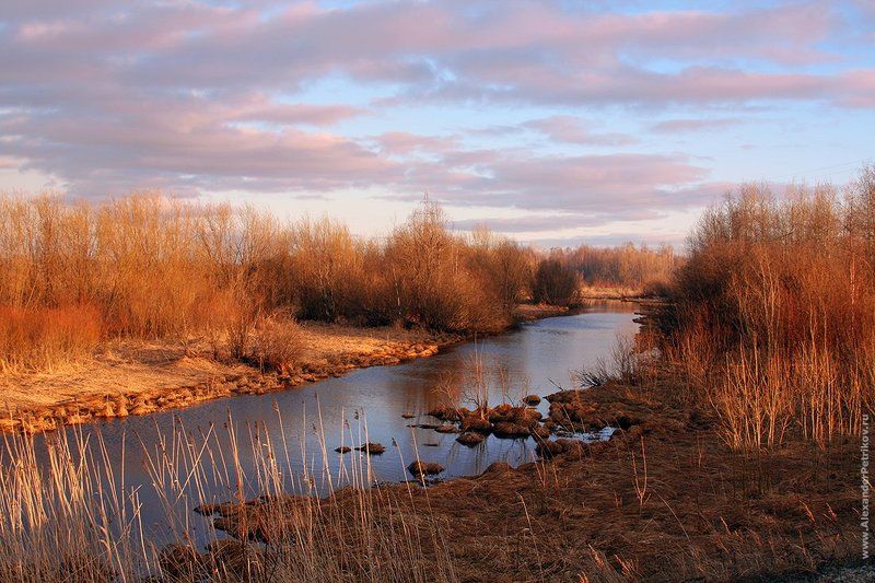 осень, небо, лес, река, закат  фото превью