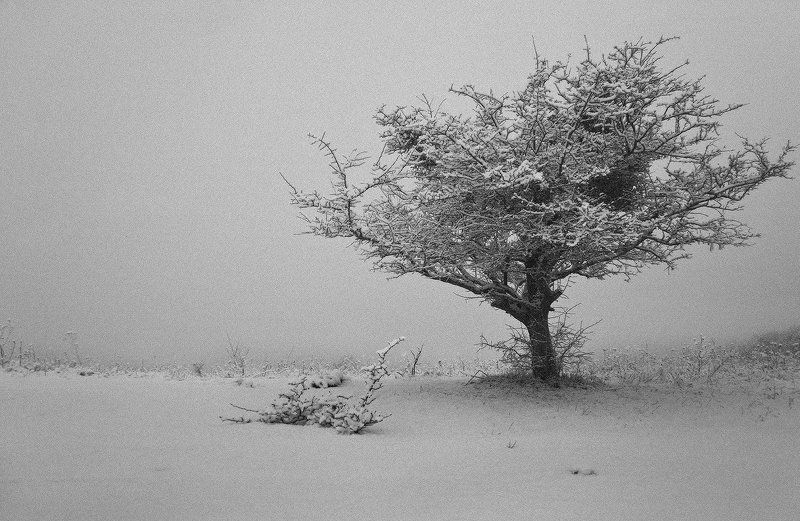 долина, даховской На краю снегопада...photo preview