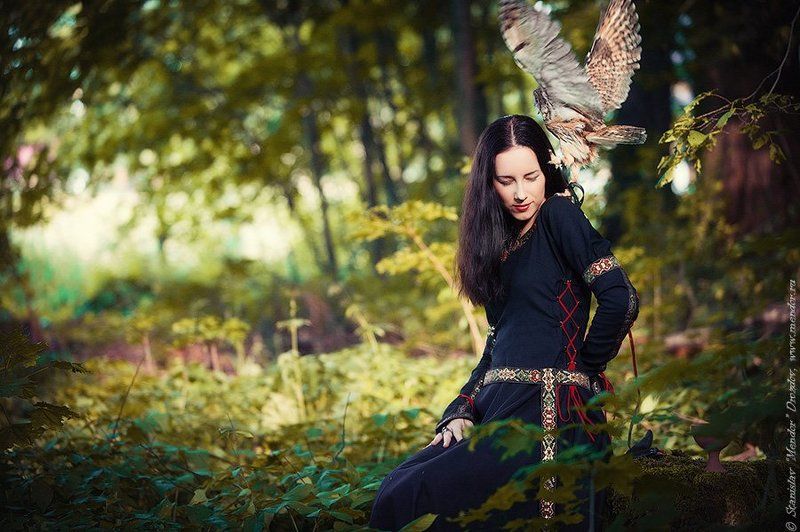 В лесуphoto preview