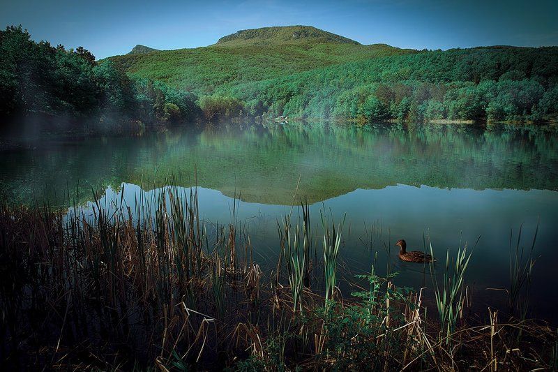 утро в крымуphoto preview