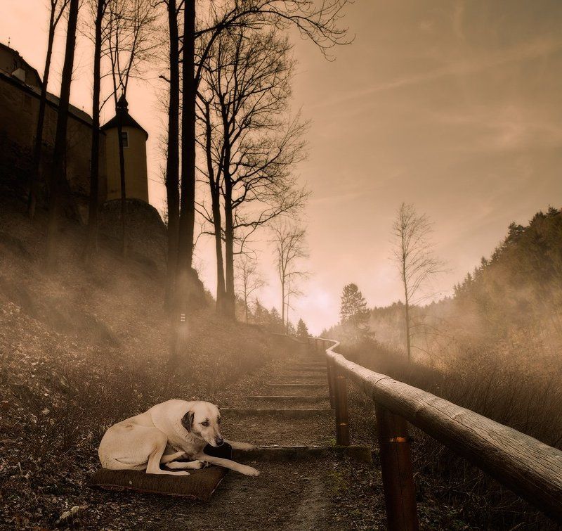 waiting for Carasphoto preview