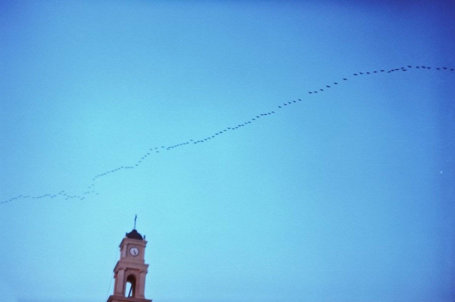 израиль, Olya G