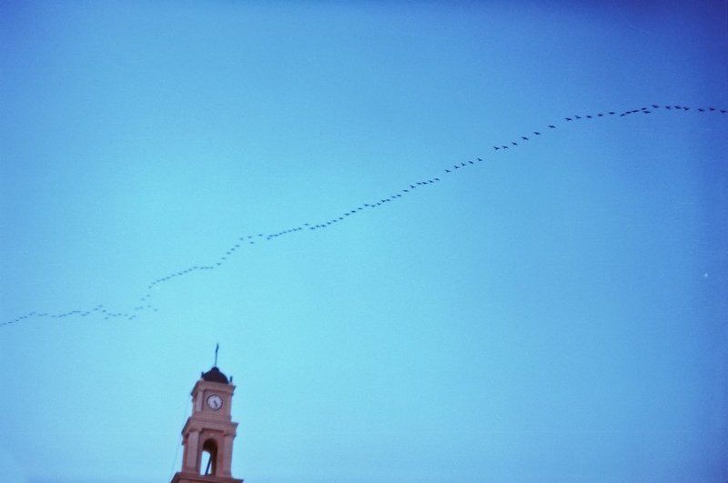 израиль time keepersphoto preview