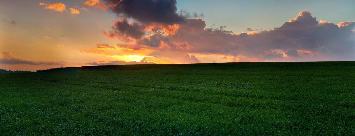 Начало нового дня.. Автор: Andrey Bedrenko , Andrey Bedrenko