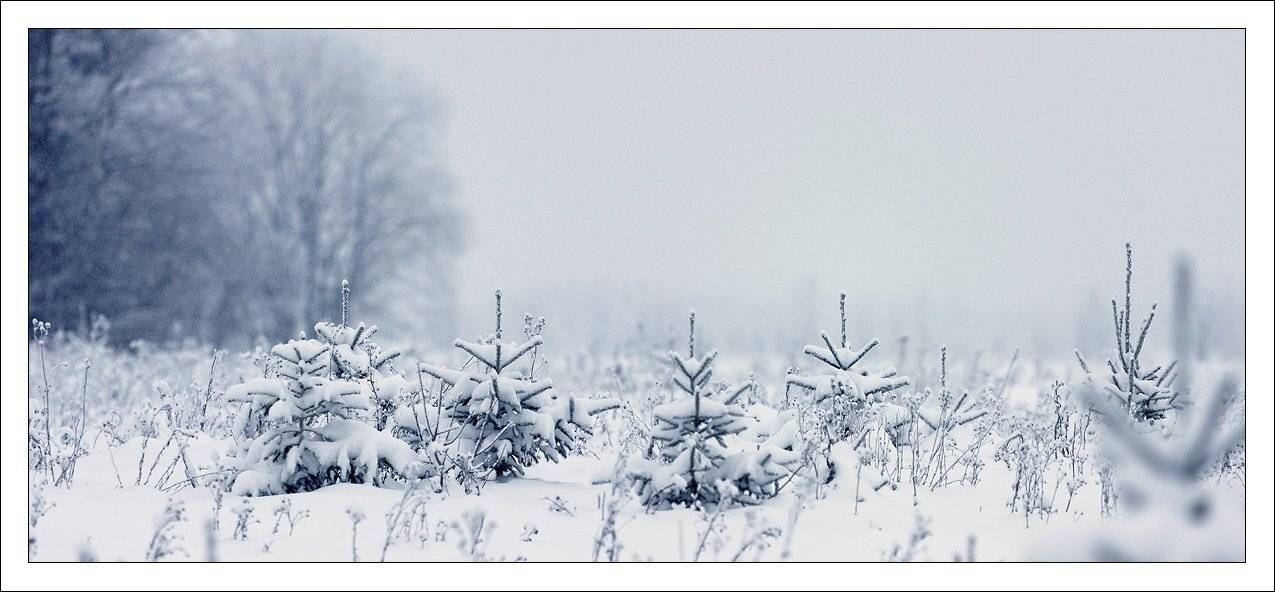 Автор: Andrey Fedoseev , Andrey Fedoseev