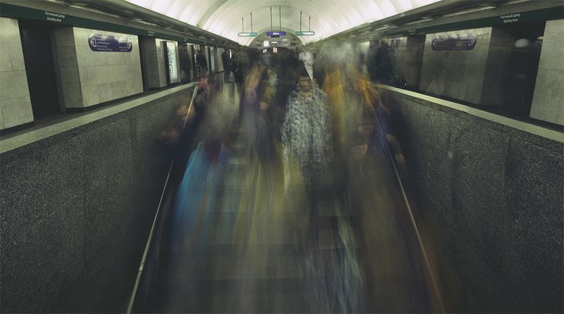 Лицаphoto preview