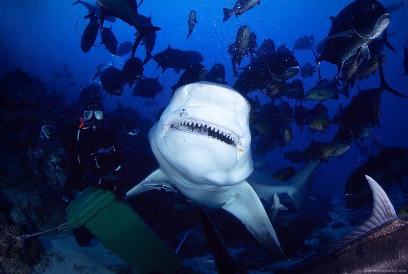 friends :-)photo preview