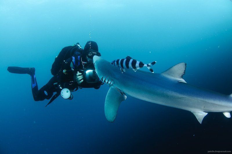 история любвиphoto preview